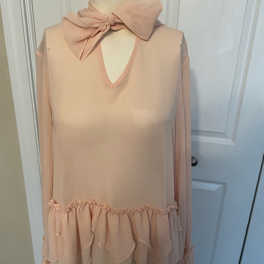 Sheer pink blouse - Picture 2 of 3